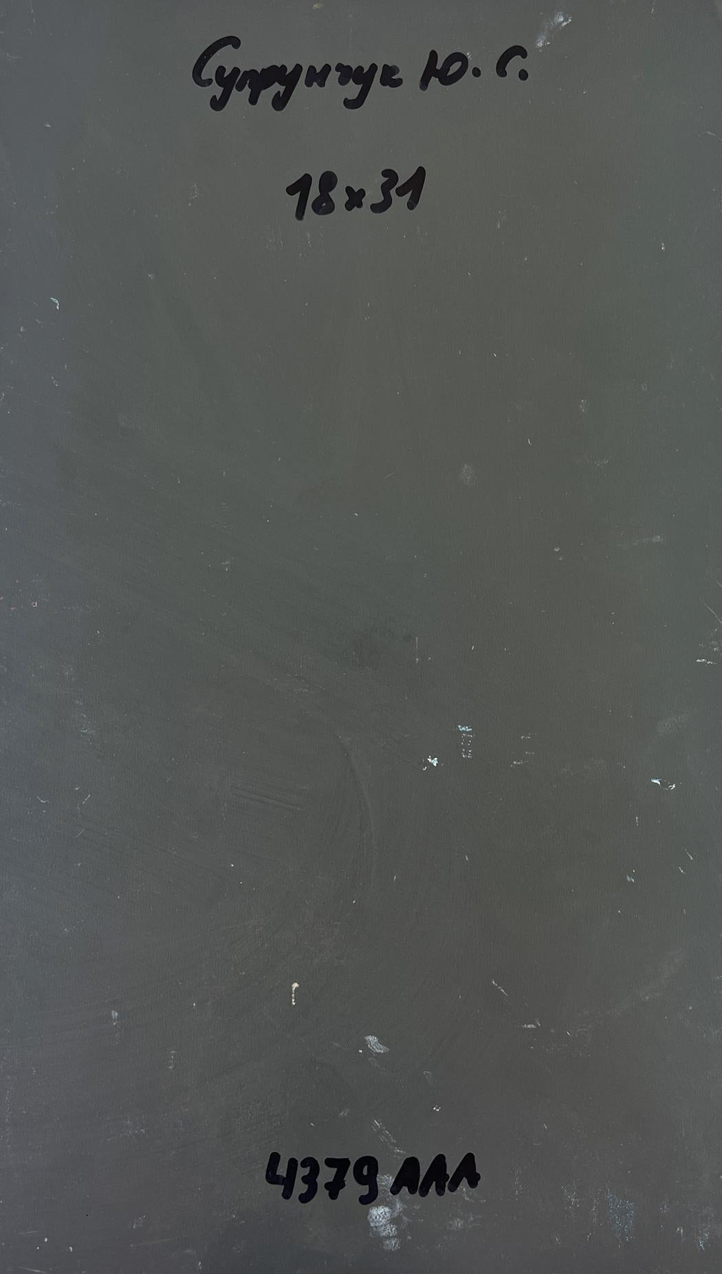 Back of Yuriy Suprunchuk oil painting Path to the house through the alley with dark gray metallic sheet Cyrillic labels and measurements