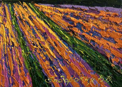 Vibrant impasto oil painting of plowed fields and sunset by V. Zadorozhnya