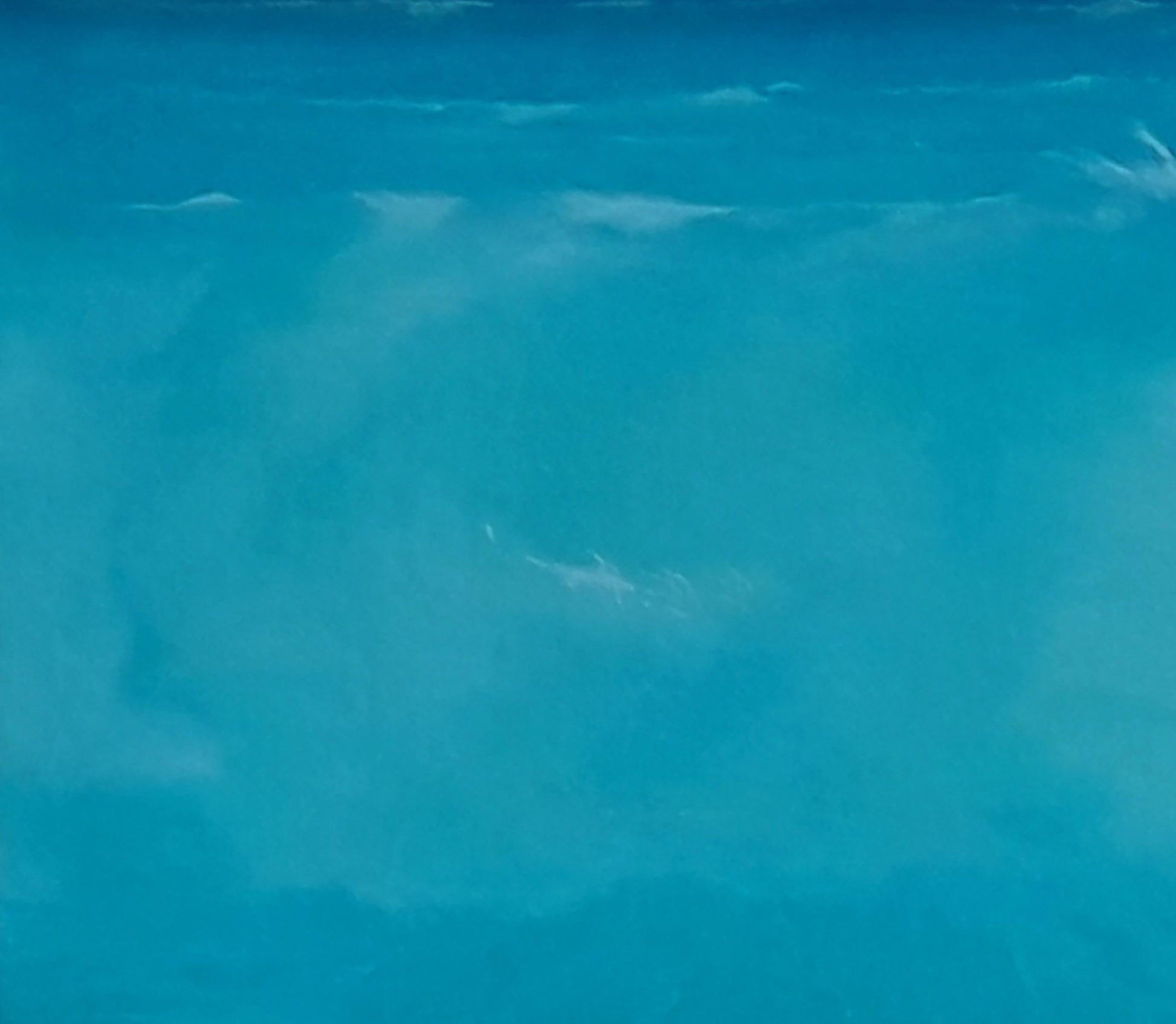 White shark gliding through turquoise waves in dawn rays by Vasily Korkishko oil painting