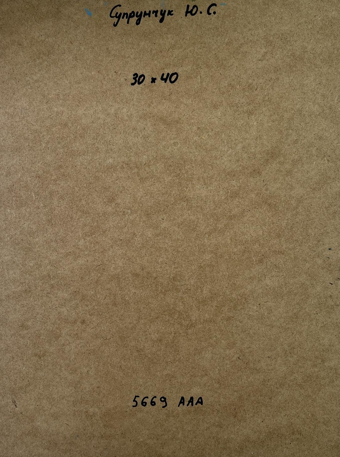 Back of Yuriy Suprunchuk oil painting At the village shore with brown textured paper Cyrillic text and numbers