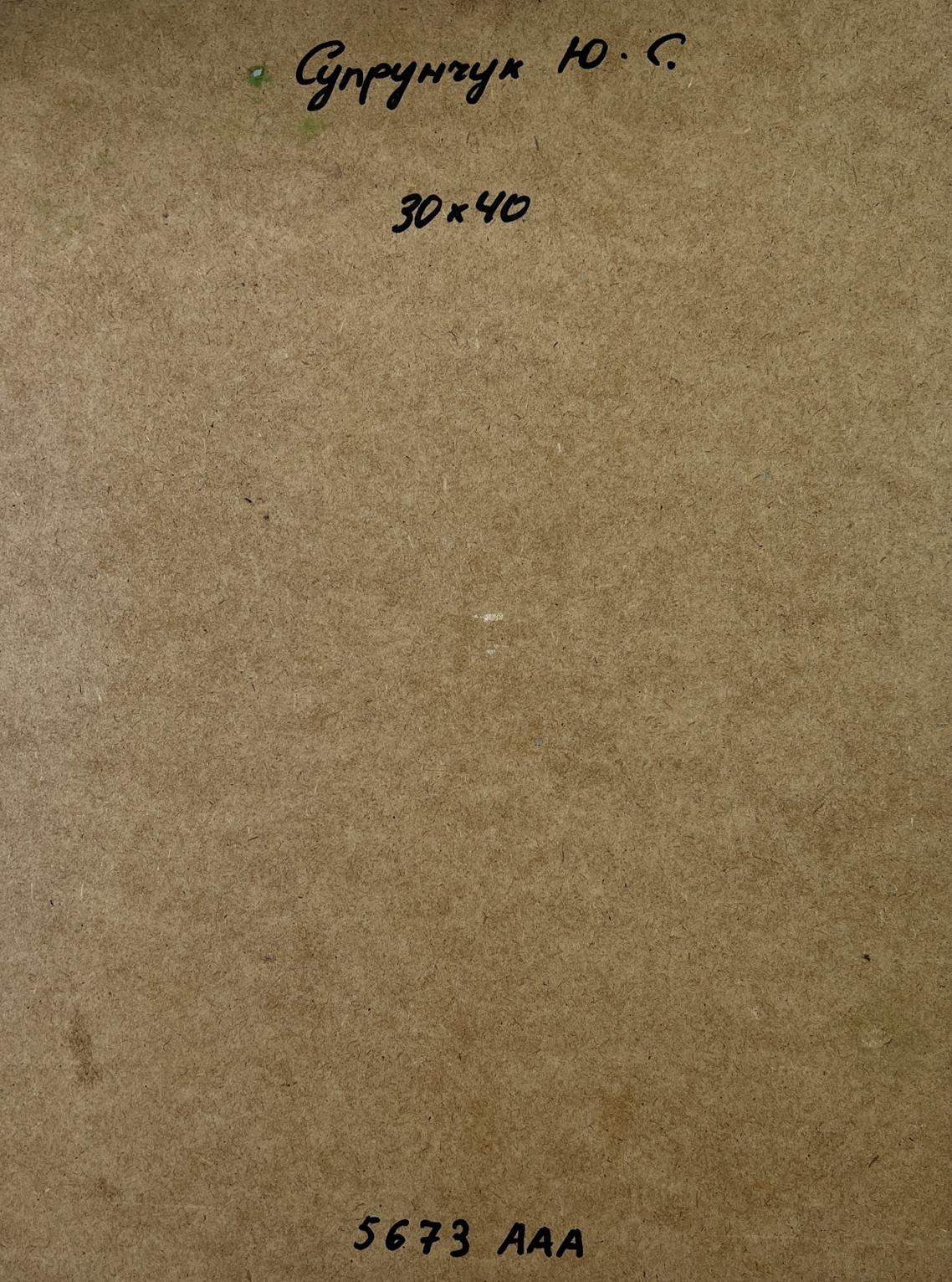 Back of Yuriy Suprunchuk oil painting House on the mountains with brown cardboard textured backing handwritten markings and printed numbers