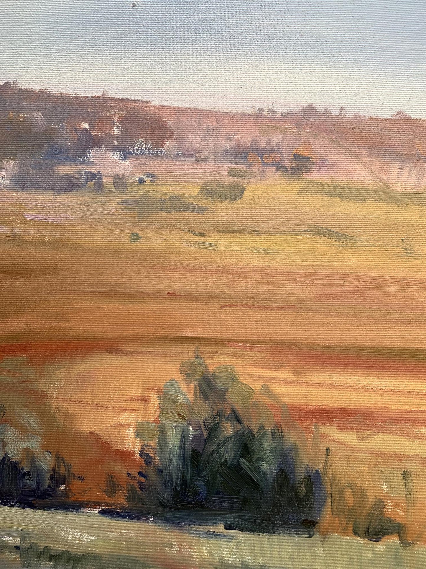 Oil painting Hot day by Tatyana Derdey: impressionistic hills in warm tones