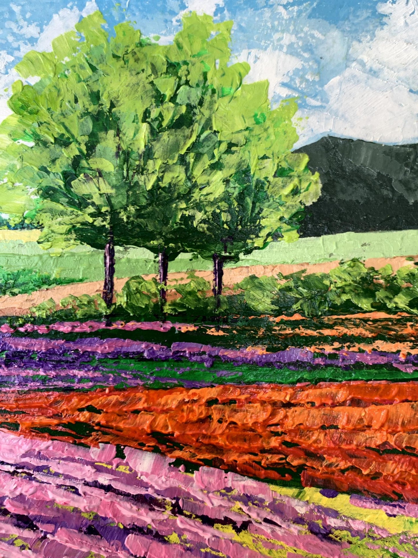 Vibrant impressionist oil painting of flower fields near mountains by V. Zadorozhnya