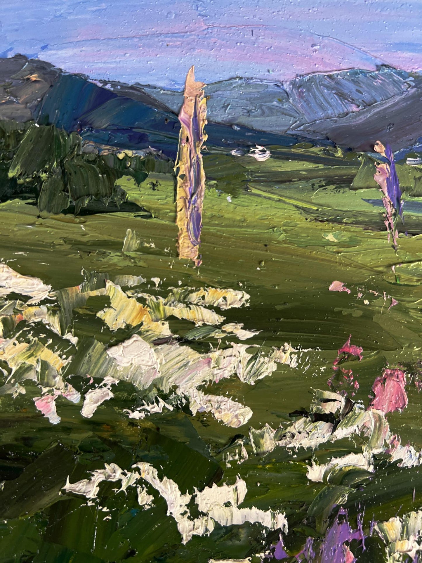 Vibrant impressionist oil painting Flowering mountain fields by Boris Serdyuk