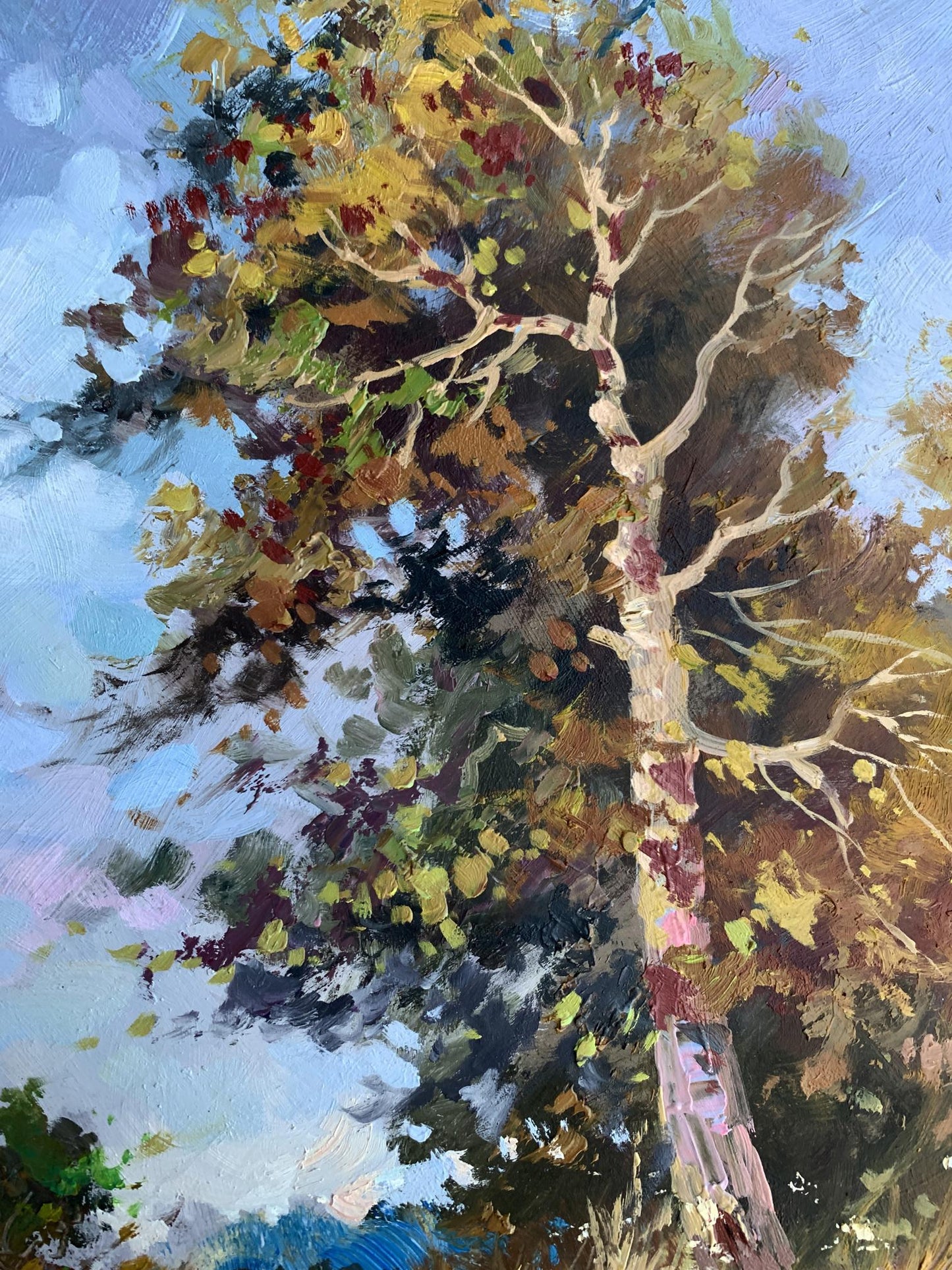 Oil painting Returning home by Yuriy Suprunchuk: tall birch tree with autumn leaves