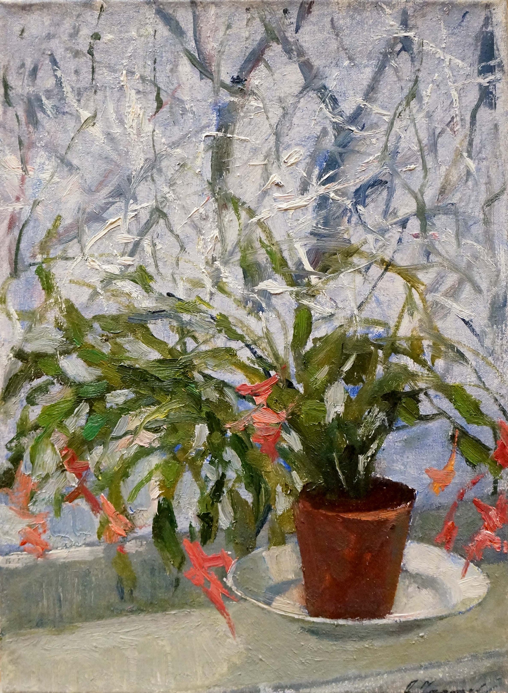 Oil painting of potted Christmas cactus with red flowers by Chernyaev Anatoly Grigoryevich