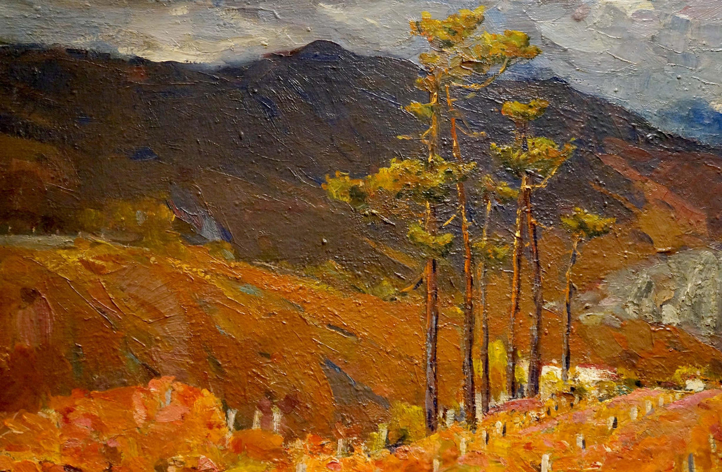 Oil painting of vineyards with pine trees and hills by Bakaev Sergey Ivanovich