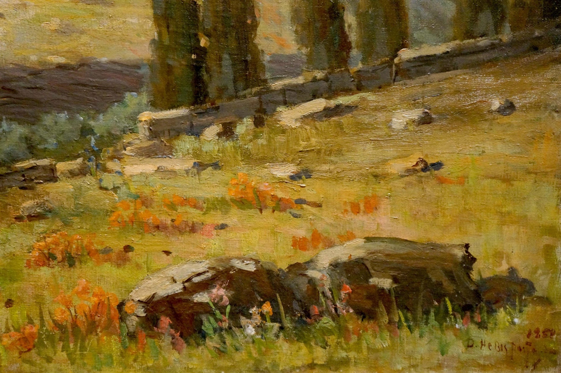 Oil painting Natural wonder by Nevkritiy Denis Nikiforovich: sunlit poppy field