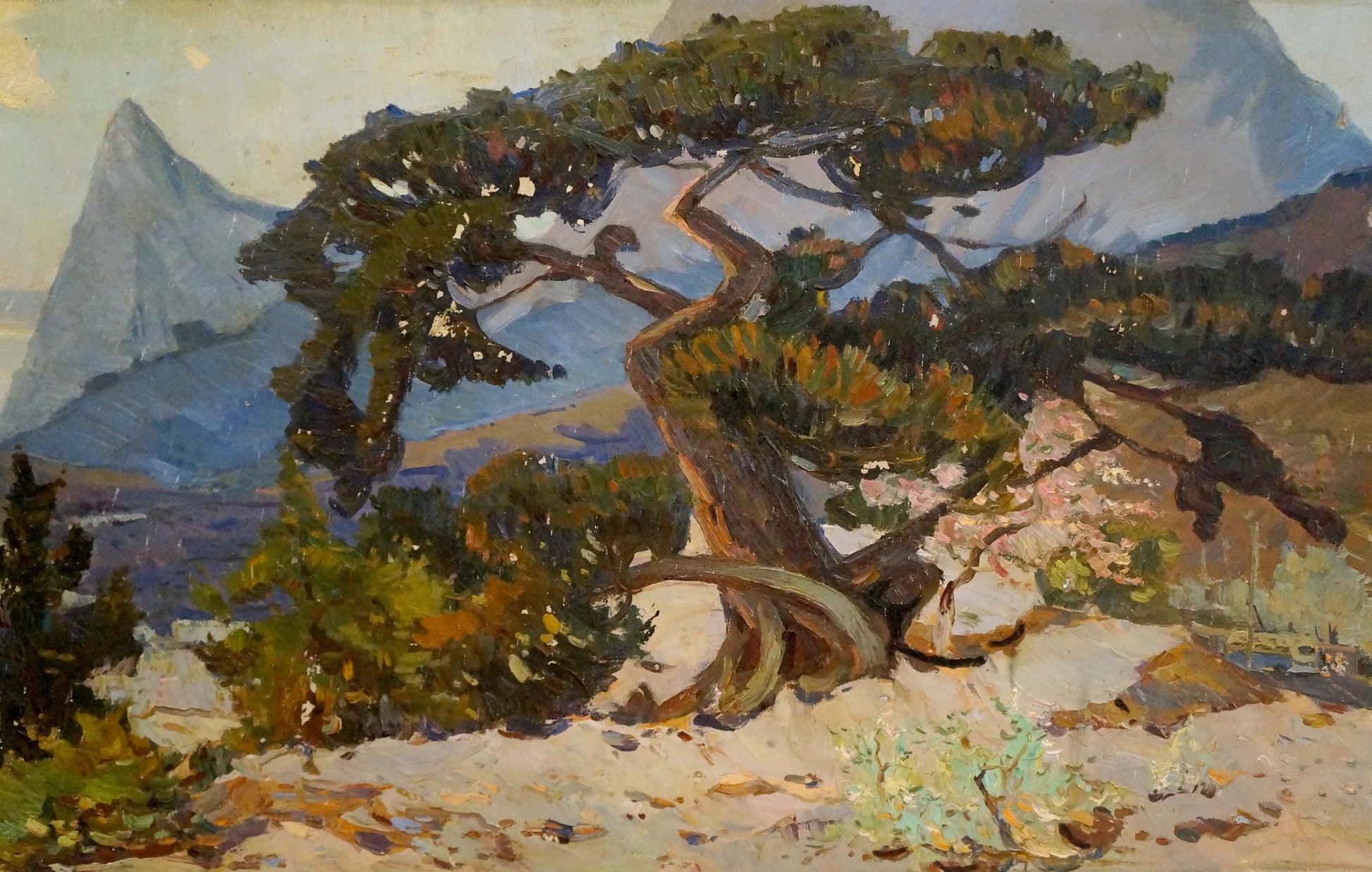 Oil painting of gnarled pine in mountains by Yarovoy Stepan Kalinovich