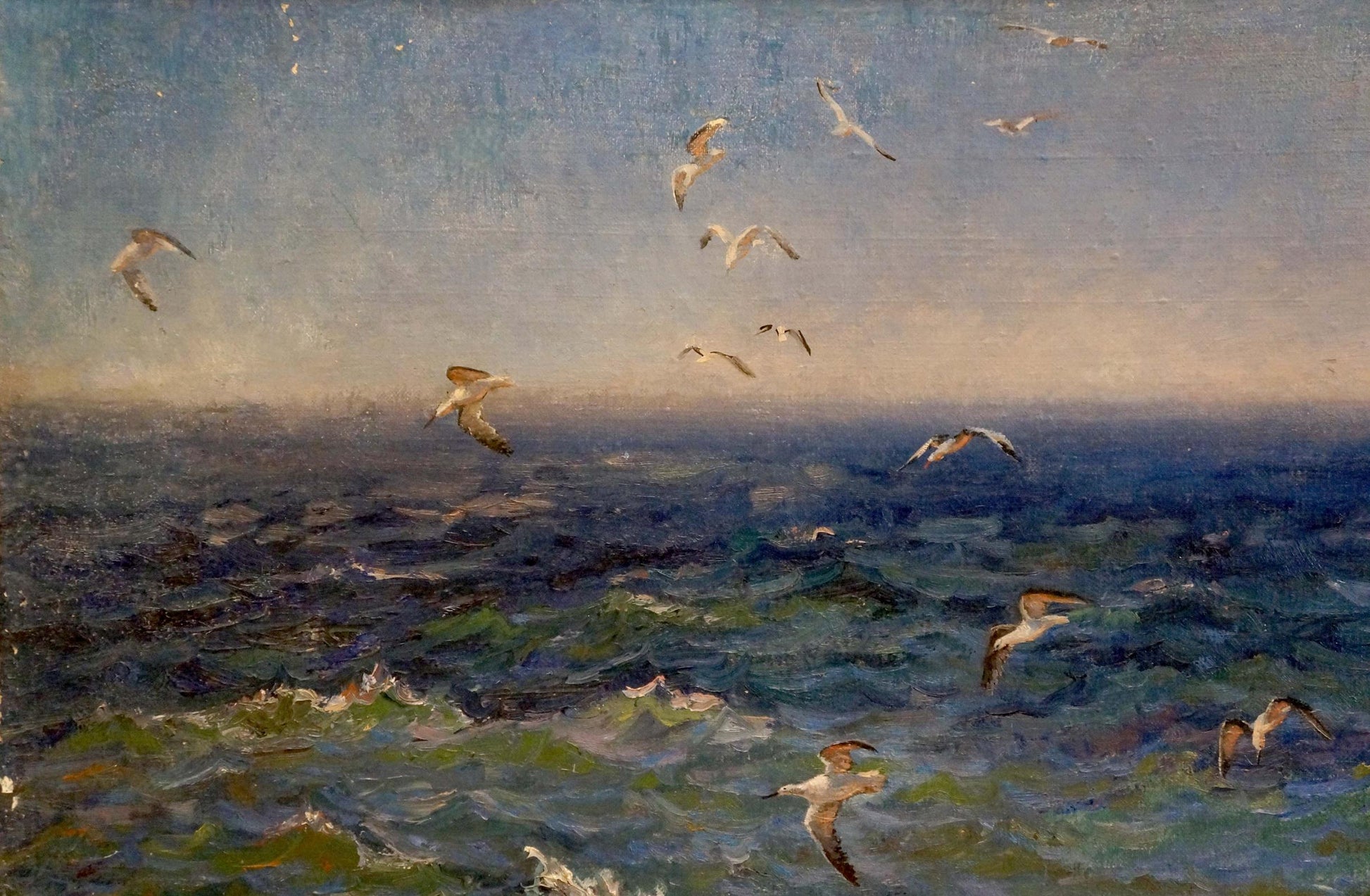 Oil painting of seagulls over turbulent sea by Basov Yakov Alexandrovich