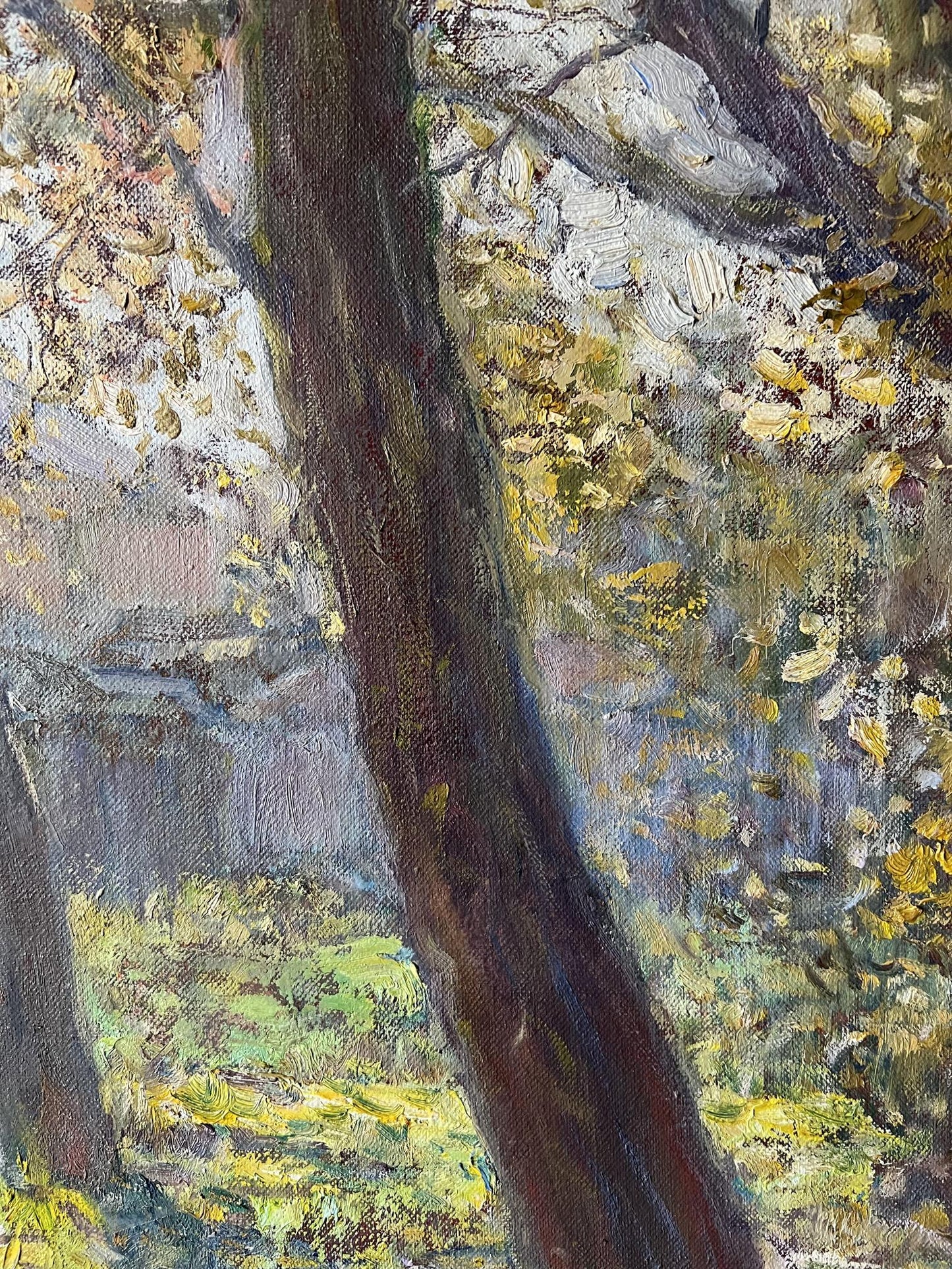 Rural landscape 