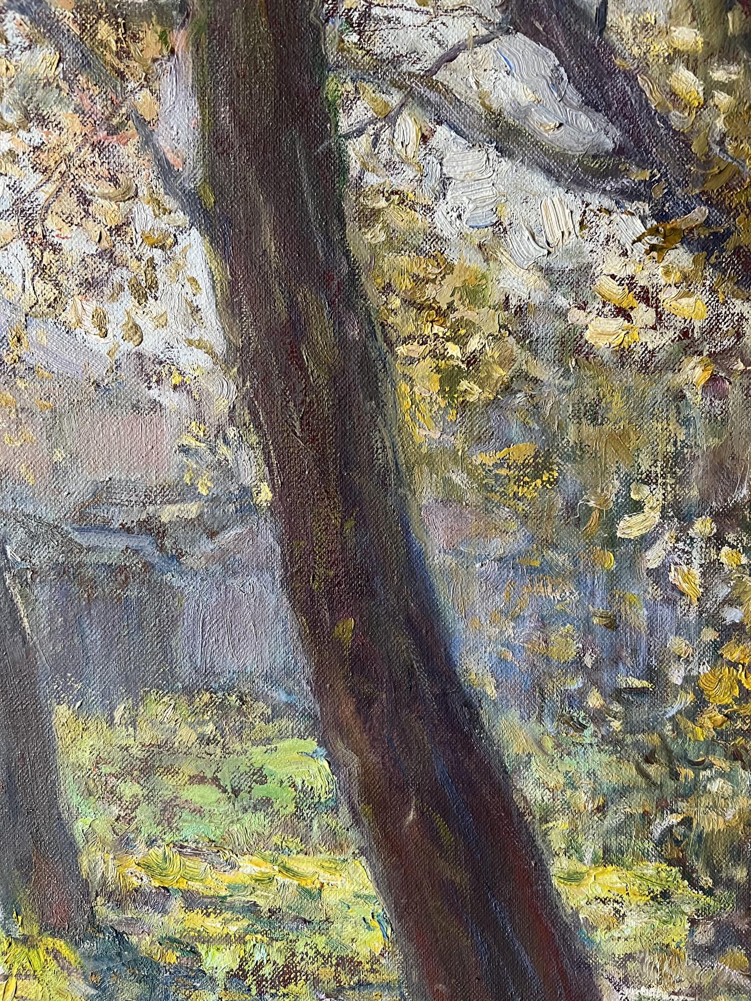 Rural landscape 