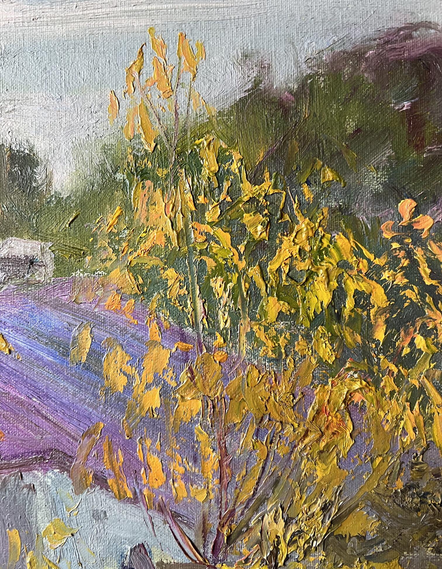 Rural landscape 