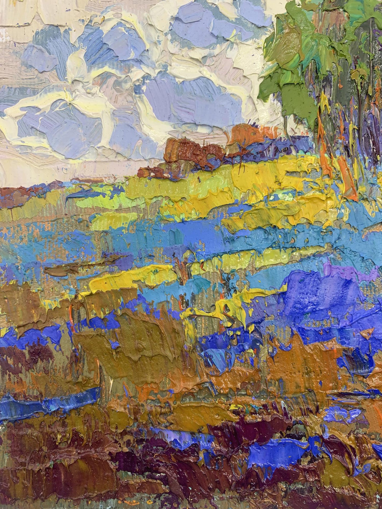 Nature Landscape 