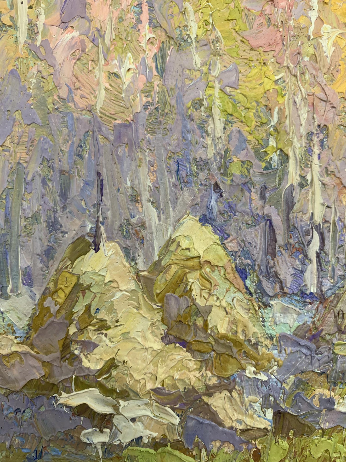 Nature Landscape 
