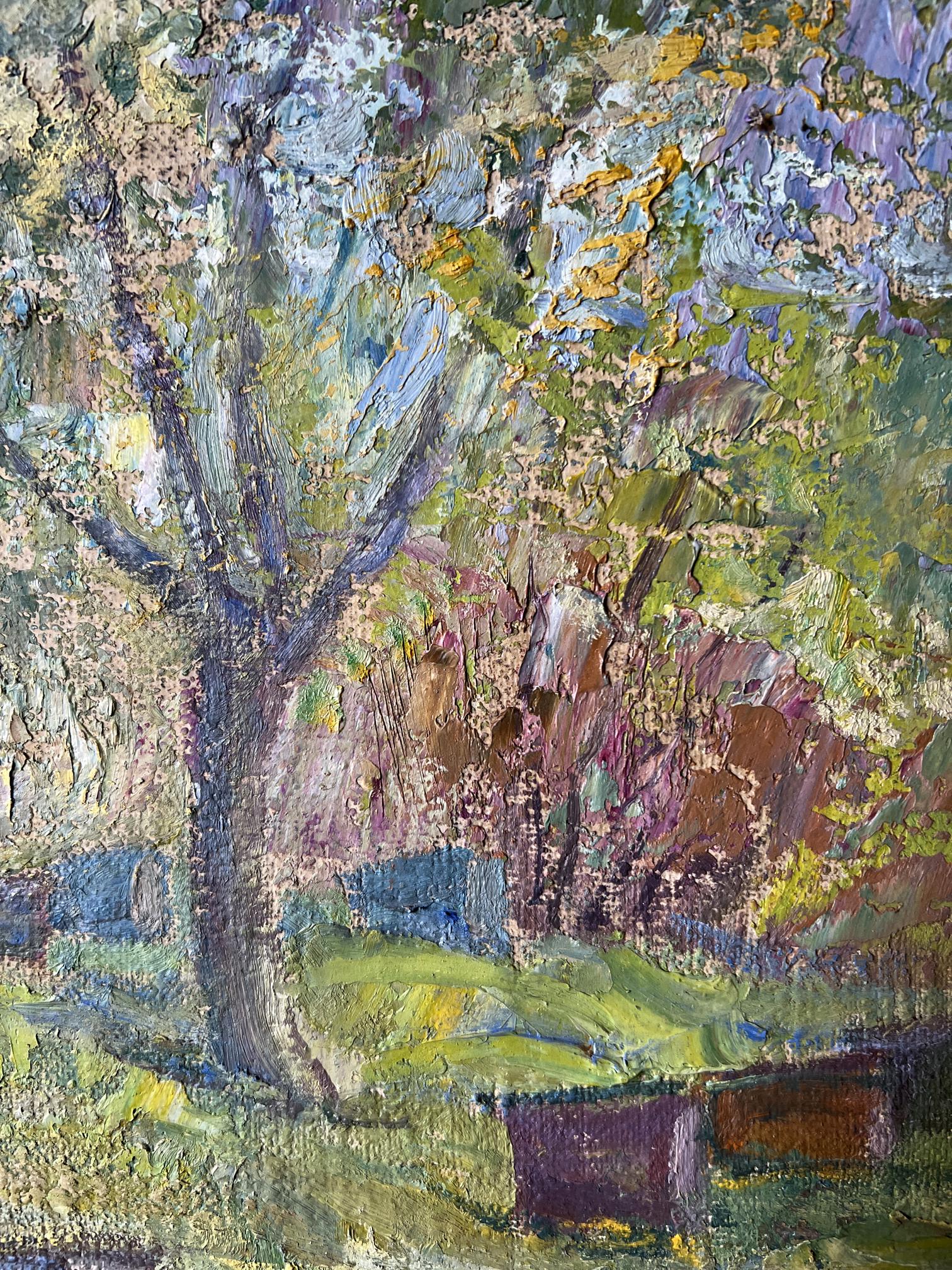 Rural landscape 