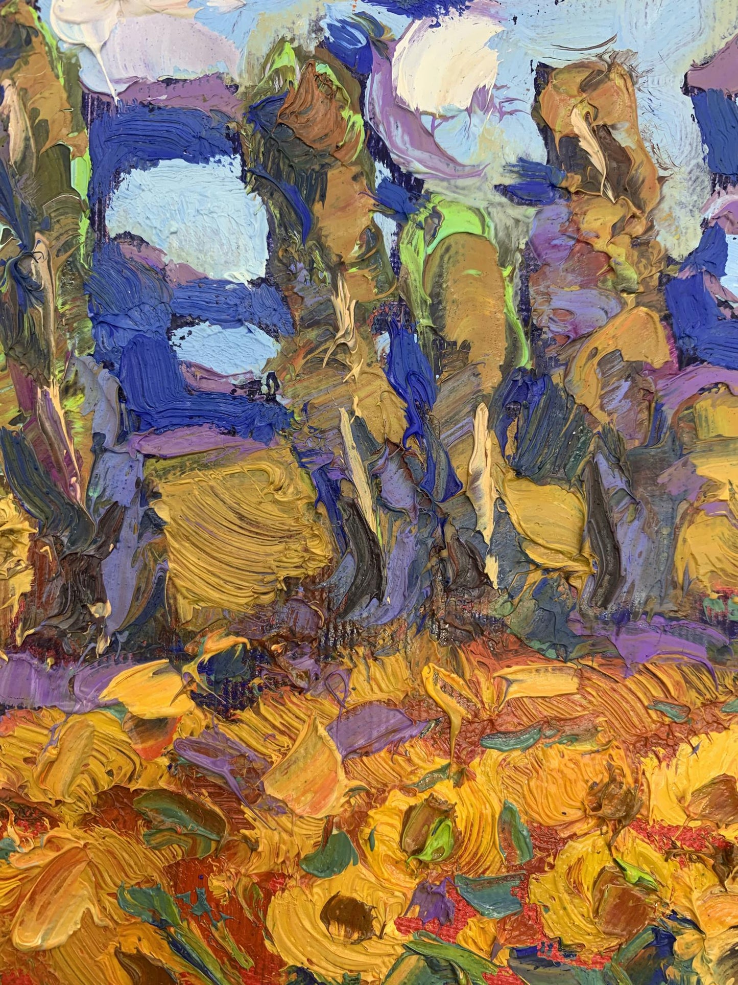Nature Landscape 