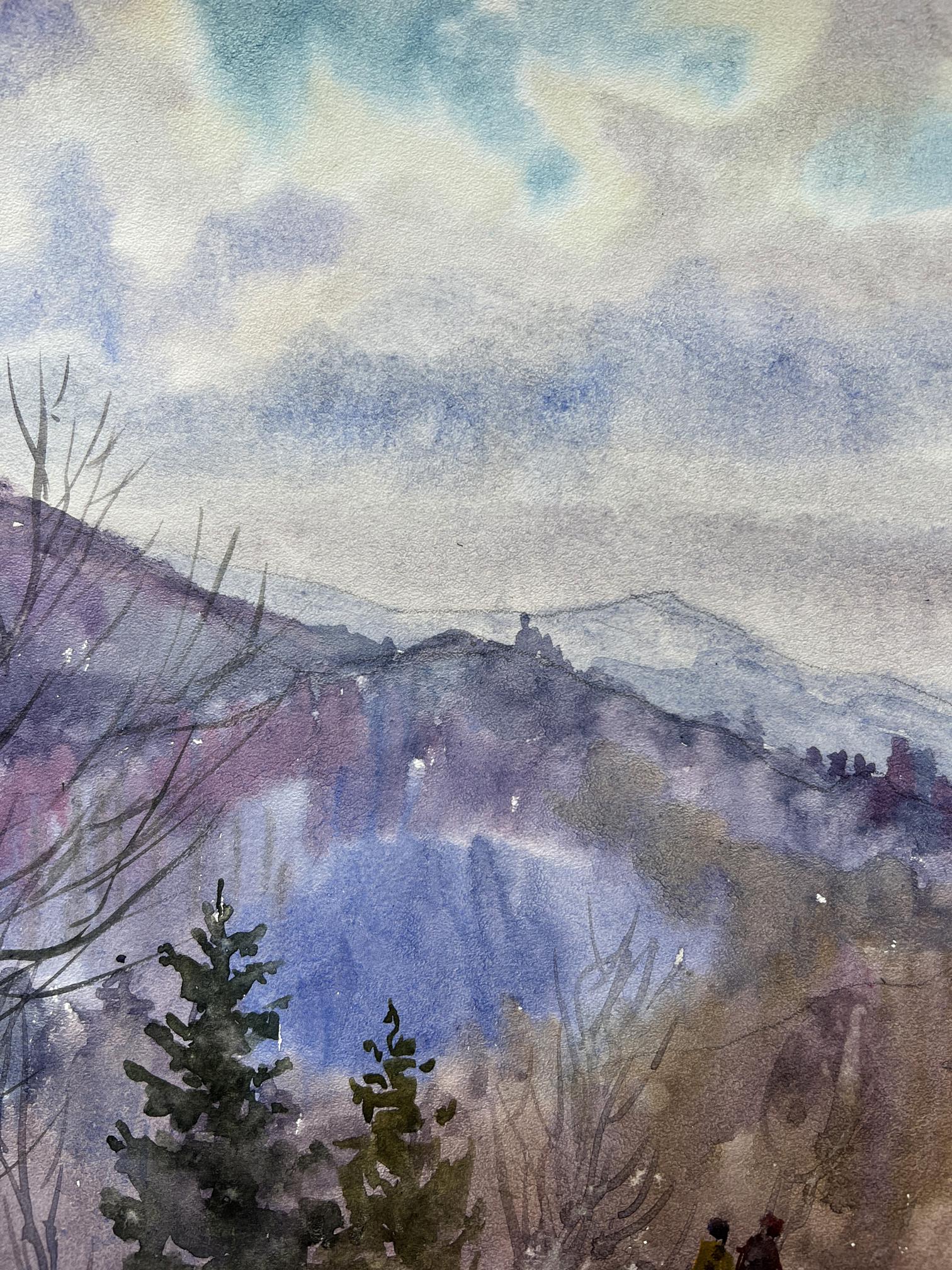 Mountain Forest landscape