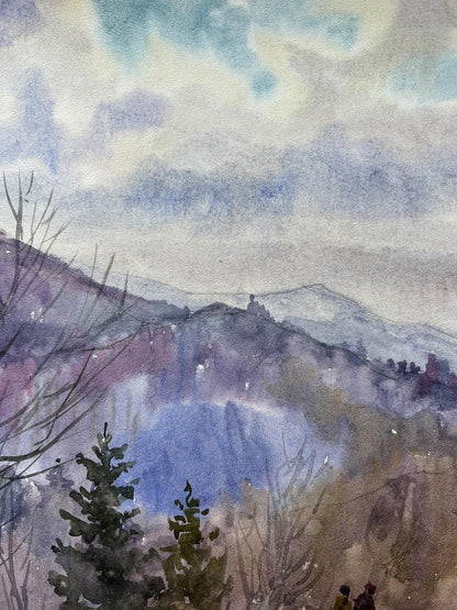 Mountain Forest landscape