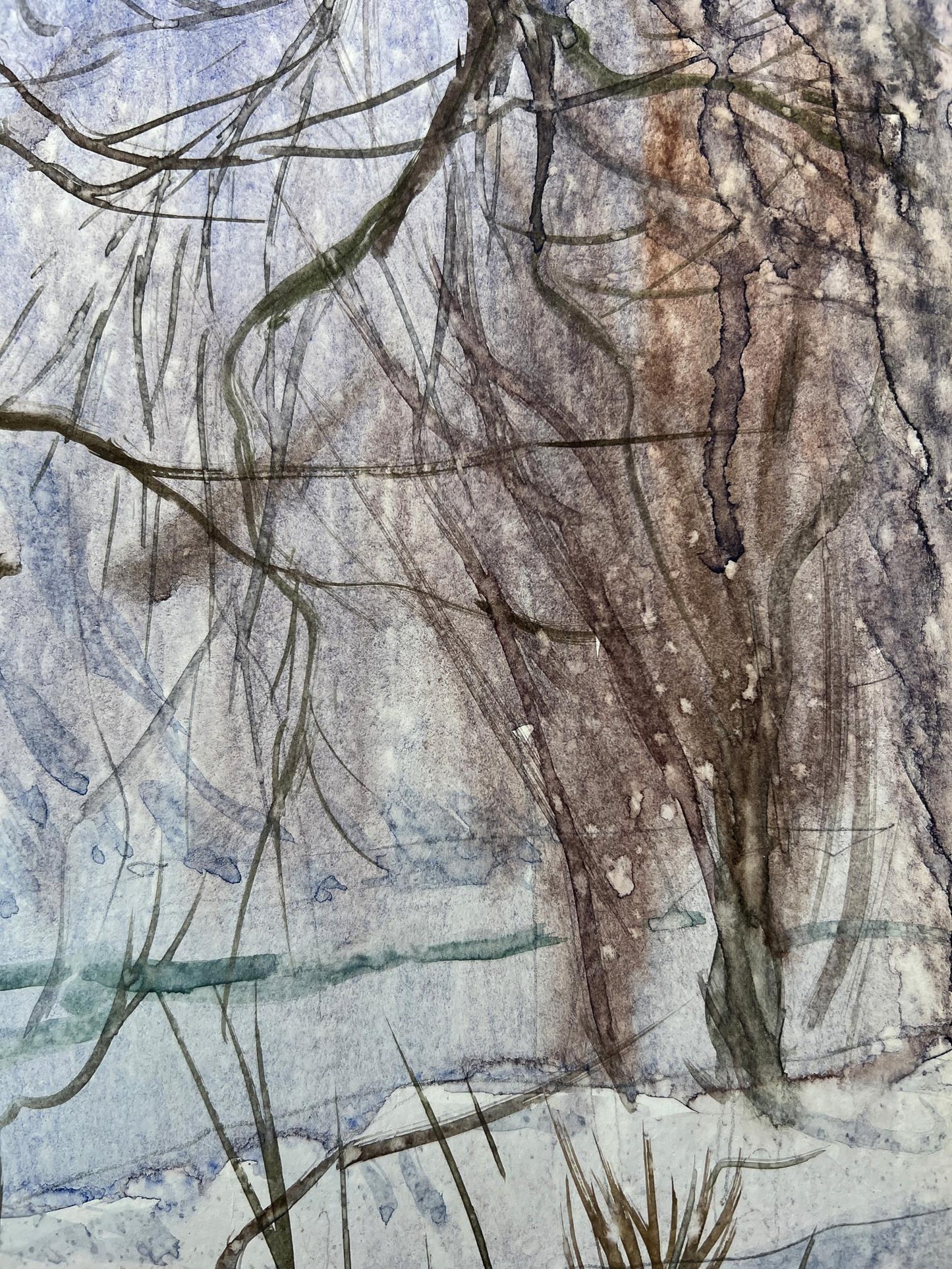 Winter Nature Landscape 