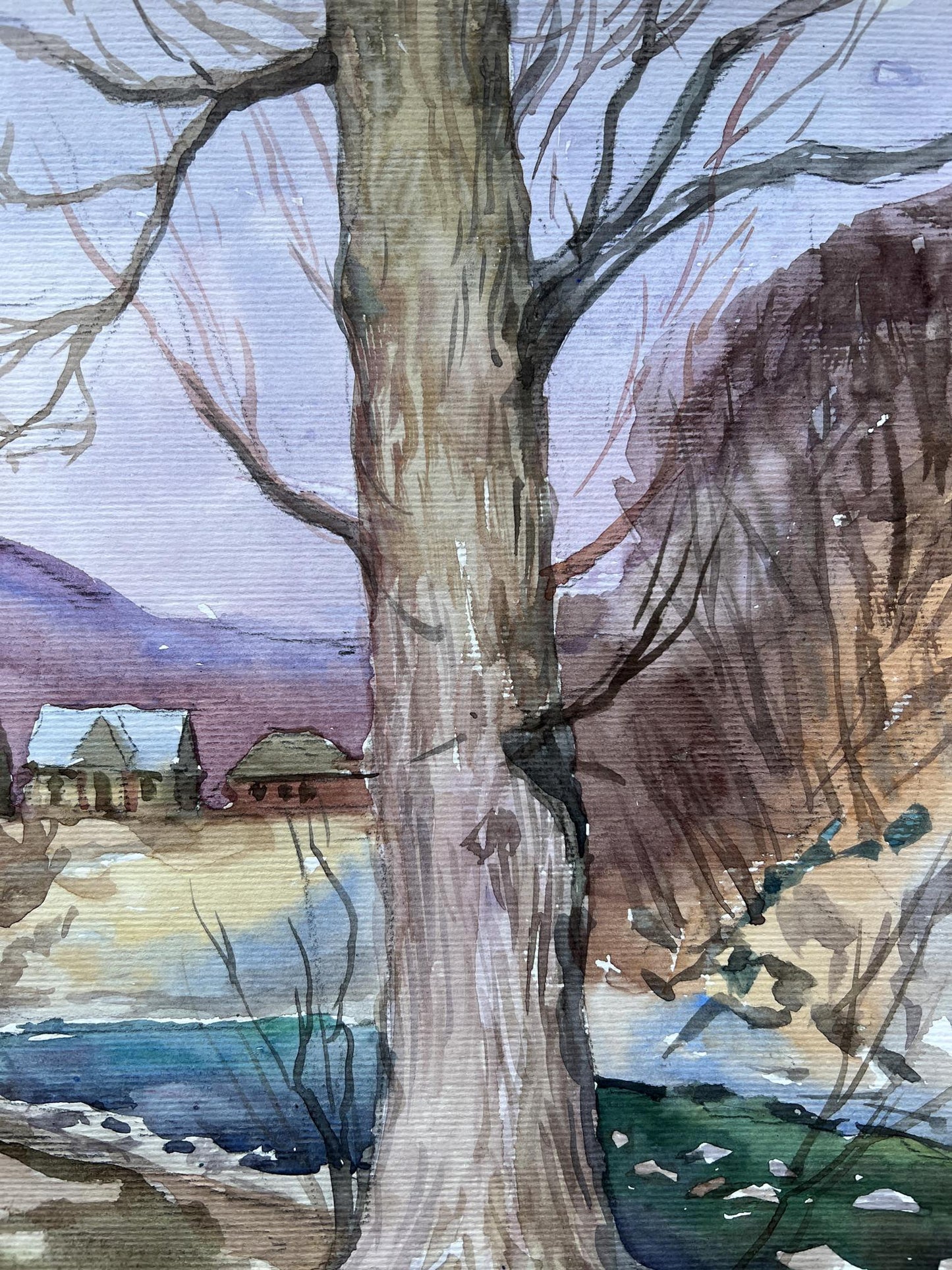 Rural landscape 