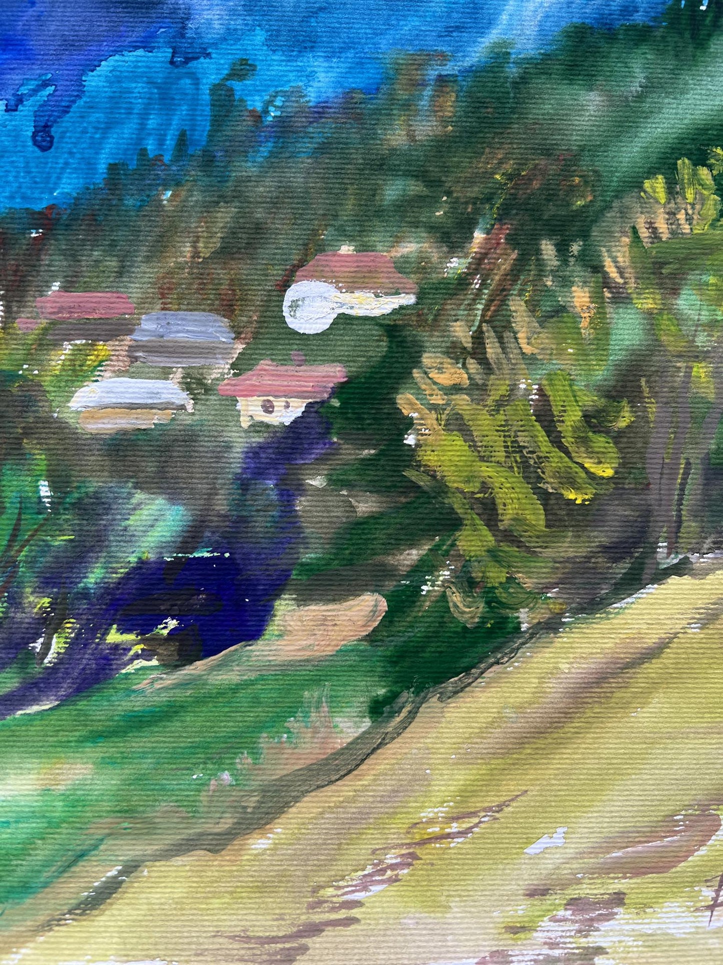 Mountain Village landscape 