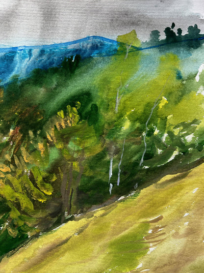 Rural landscape 