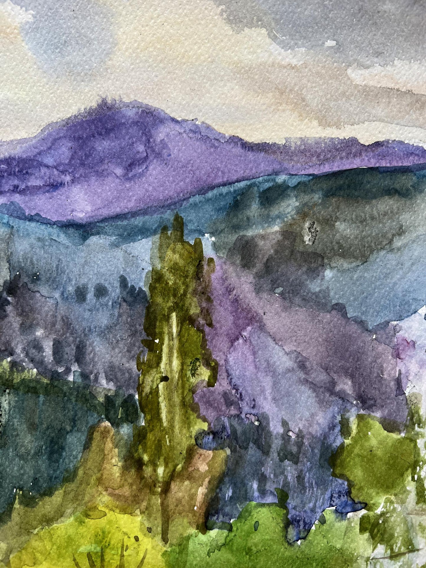 Mountain Village landscape 