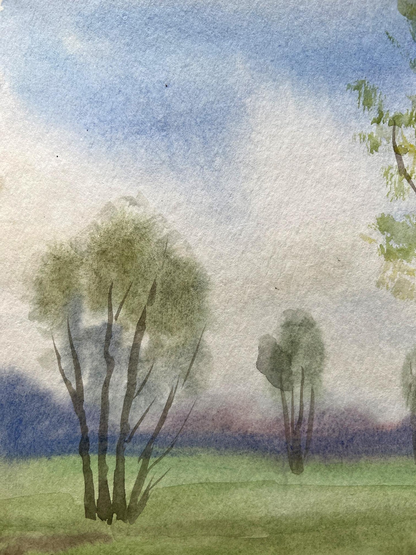 Watercolor painting Nature Landscape 
