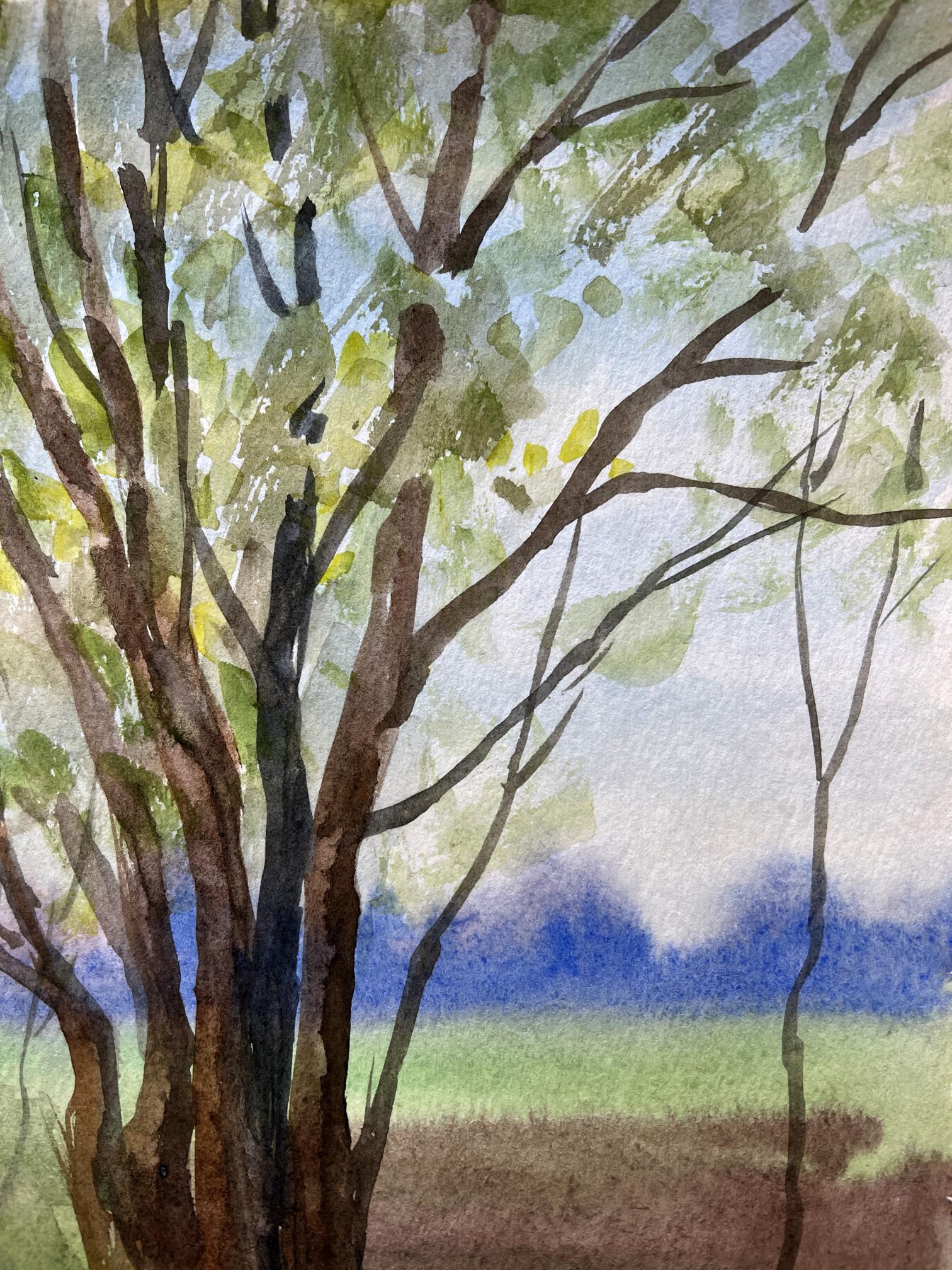 Spring countryside