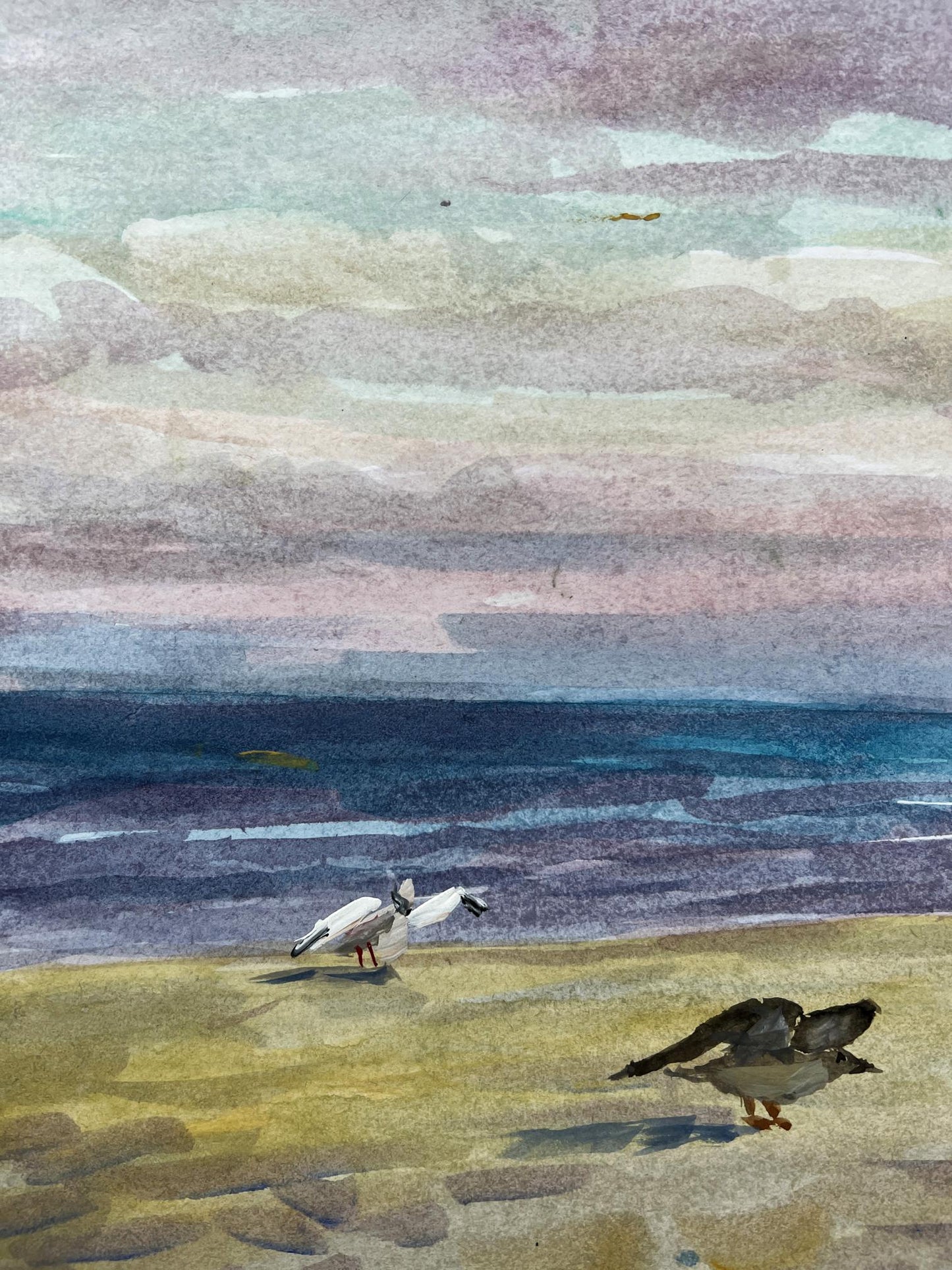 Gouache painting Seagulls