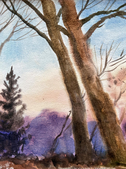 Gouache painting Evening forest 