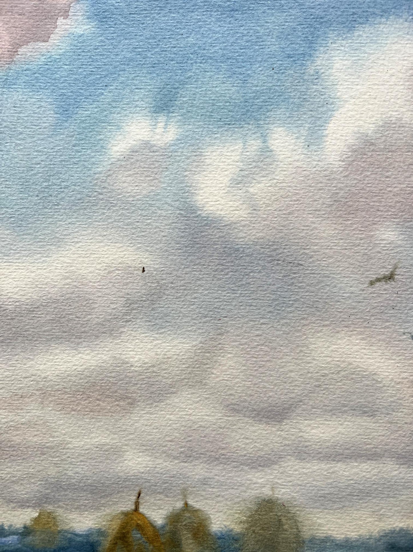 Watercolor painting field 