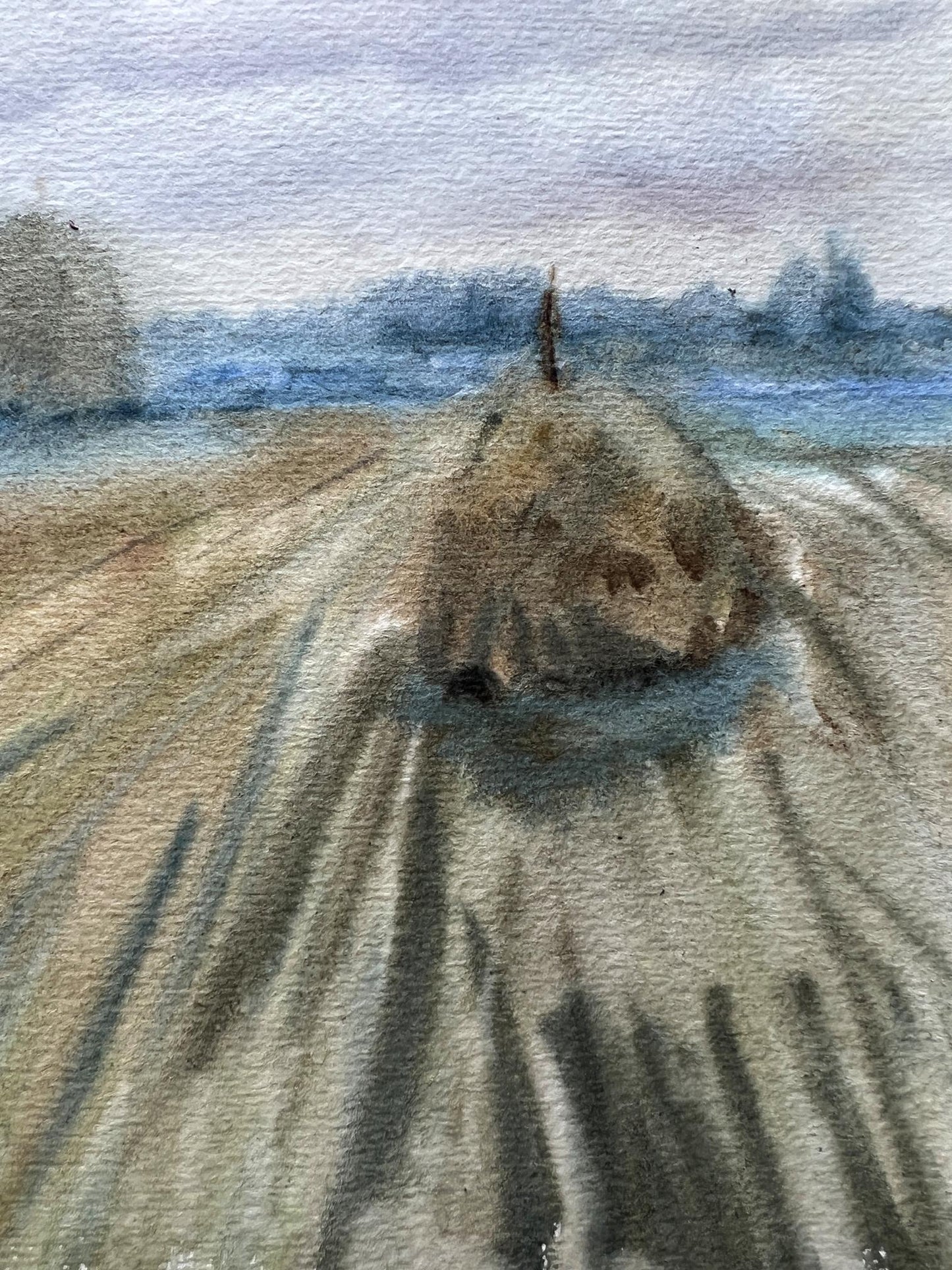 Rural landscape 