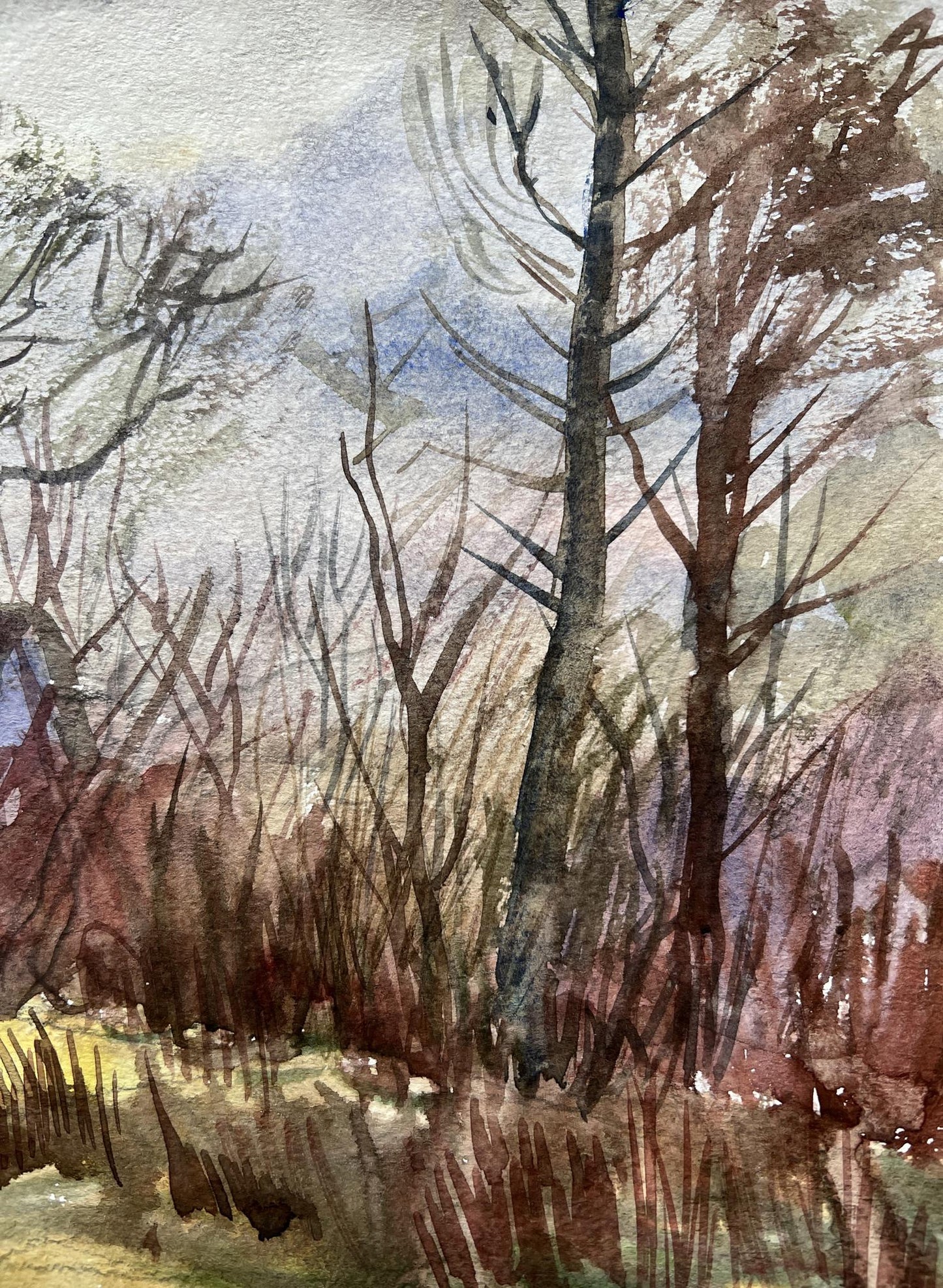 Mountain Landscape