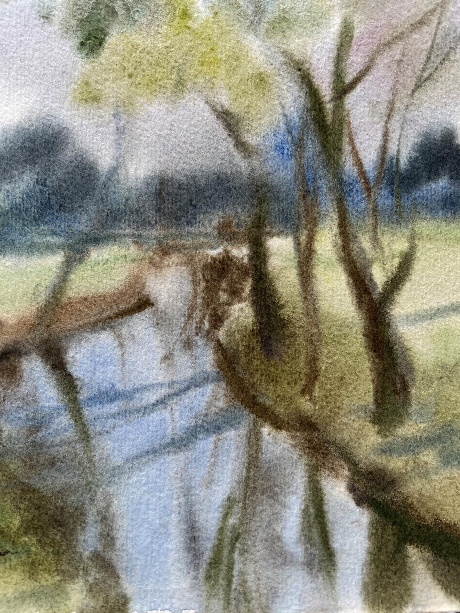 Forest Nature Landscape 