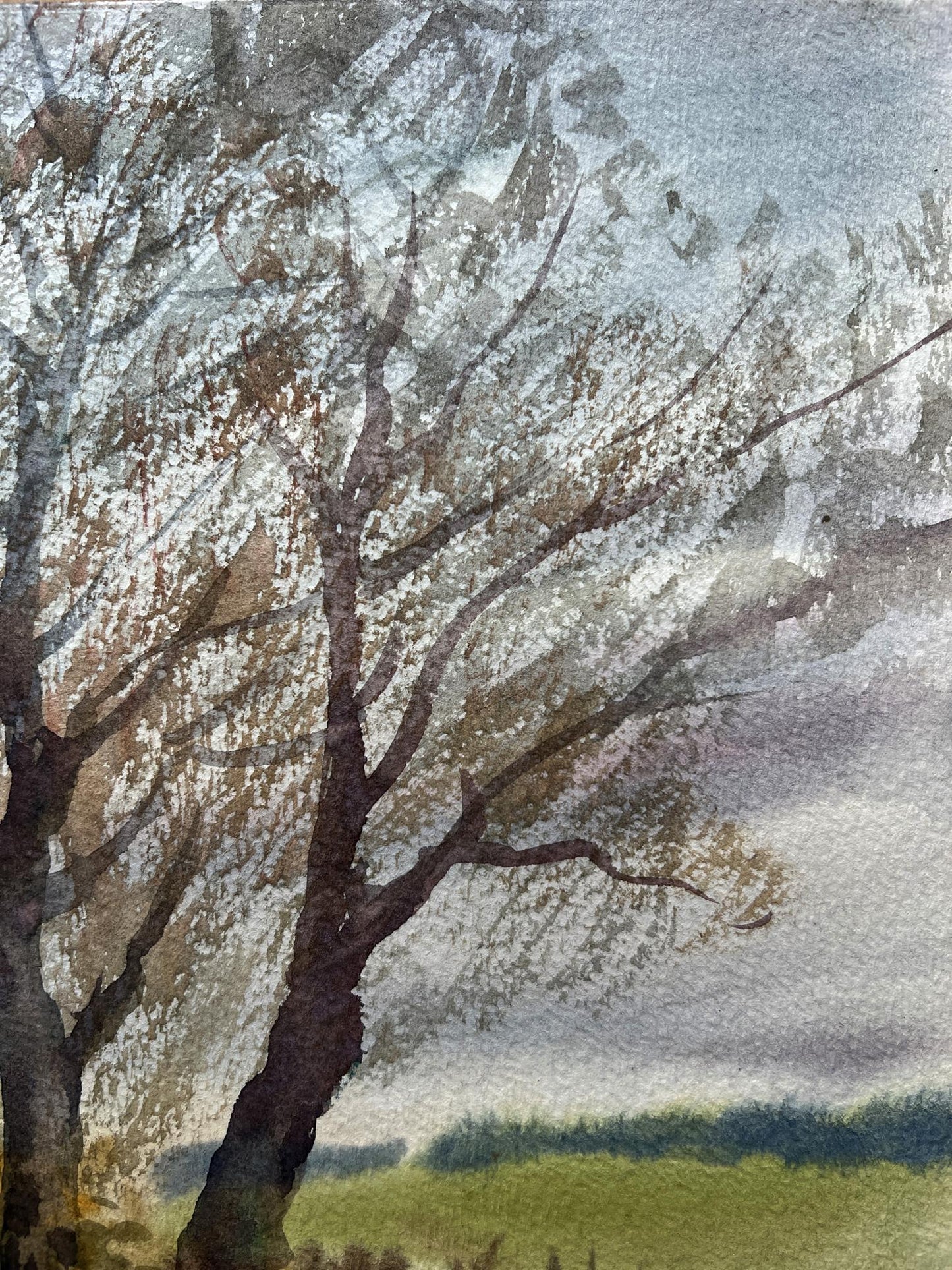 Rural landscape 