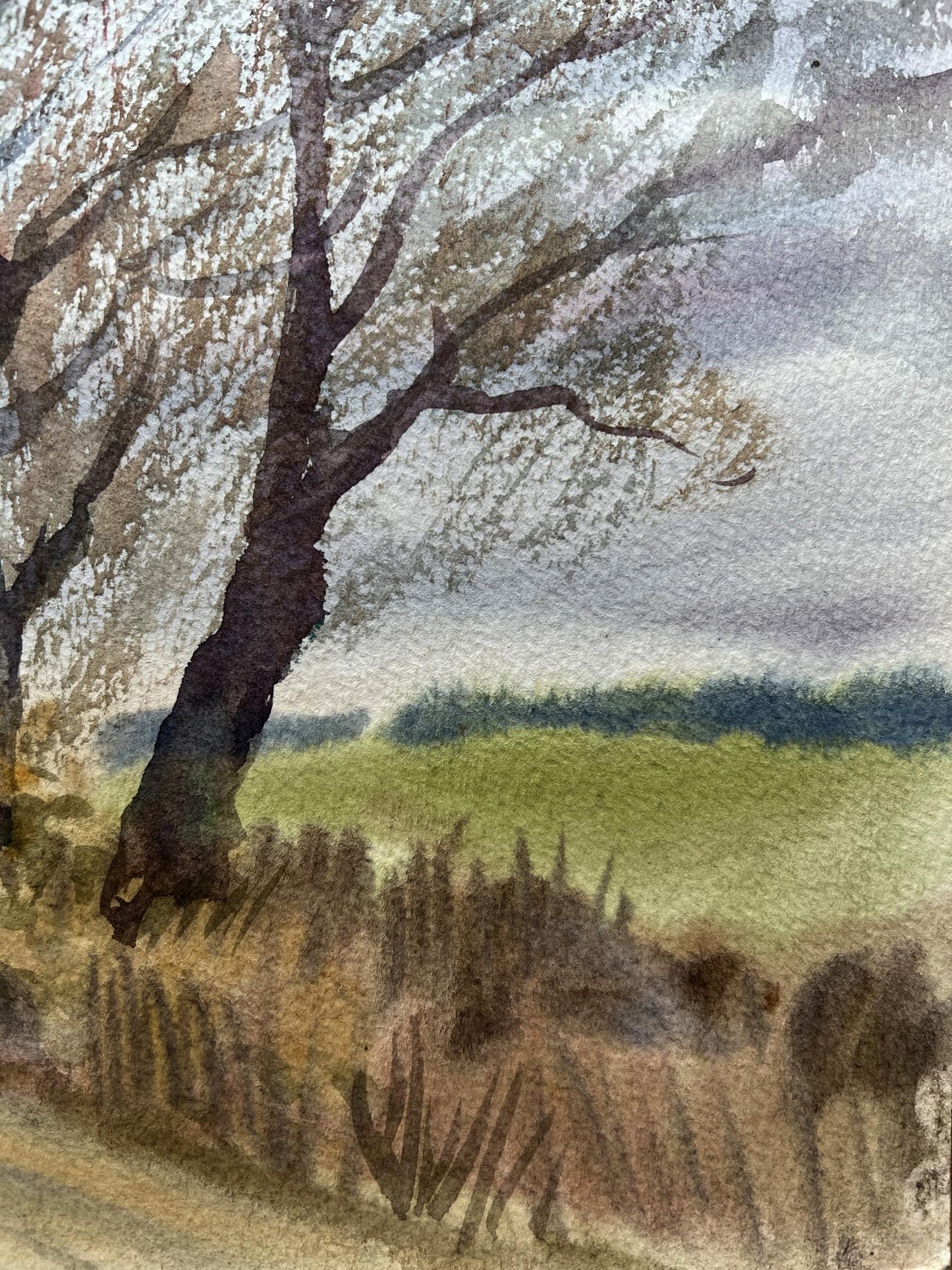 Artwork for Sale    
