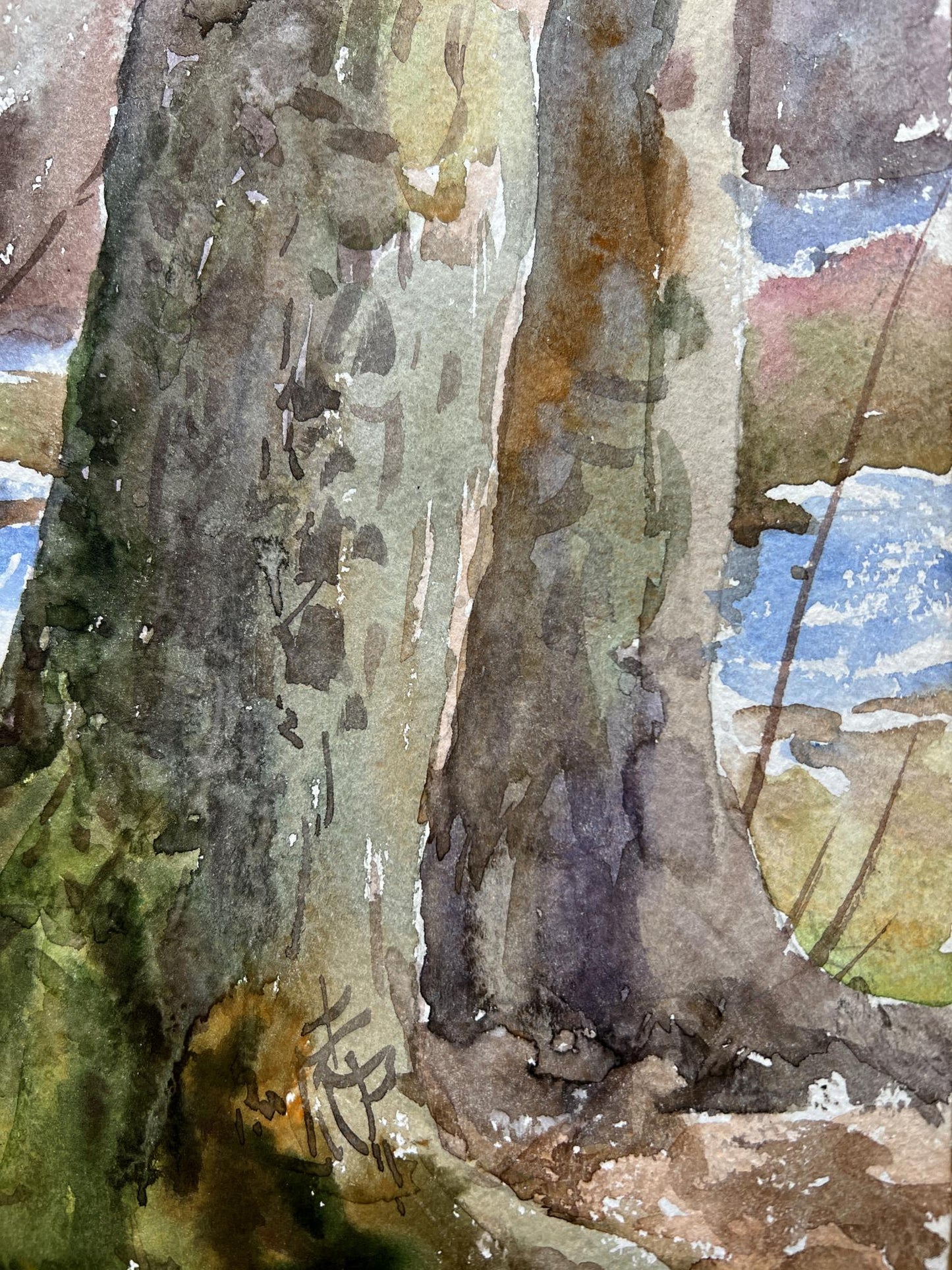 Spring Forest landscape