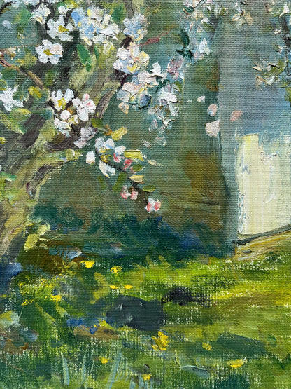 Rural landscape 