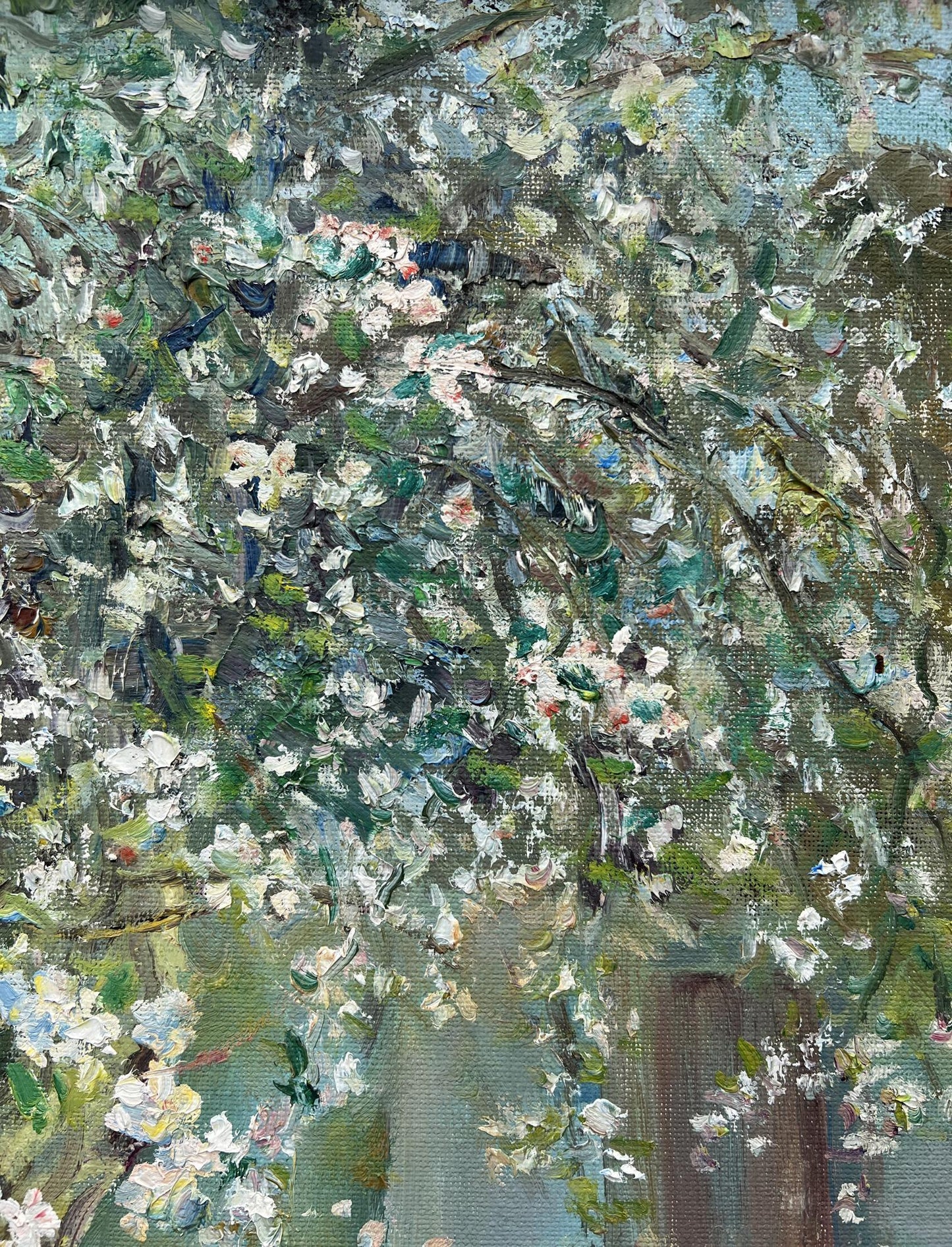 rural yard  