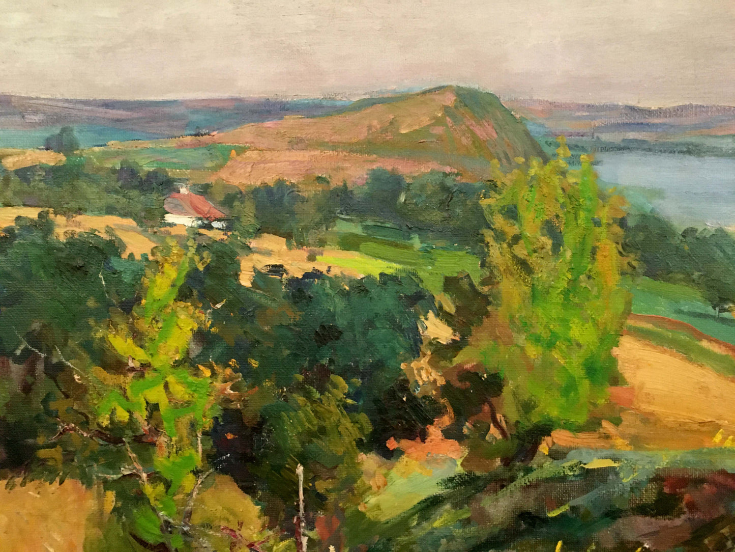 Oil painting by Glushchenko Nikolai Petrovich: vibrant hills, lake, red-roof house