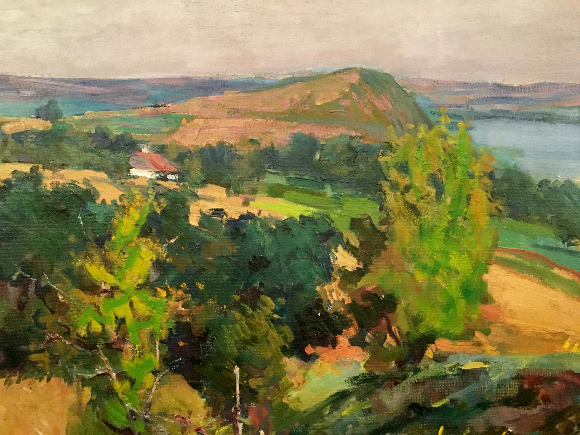 Oil painting by Glushchenko Nikolai Petrovich: vibrant hills, lake, red-roof house