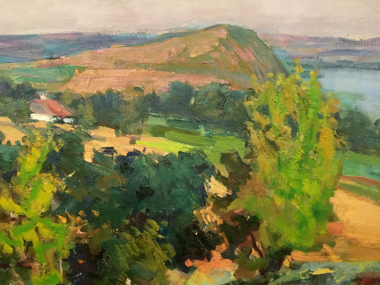 Oil painting by Glushchenko Nikolai Petrovich: vibrant green hills, red-roofed house