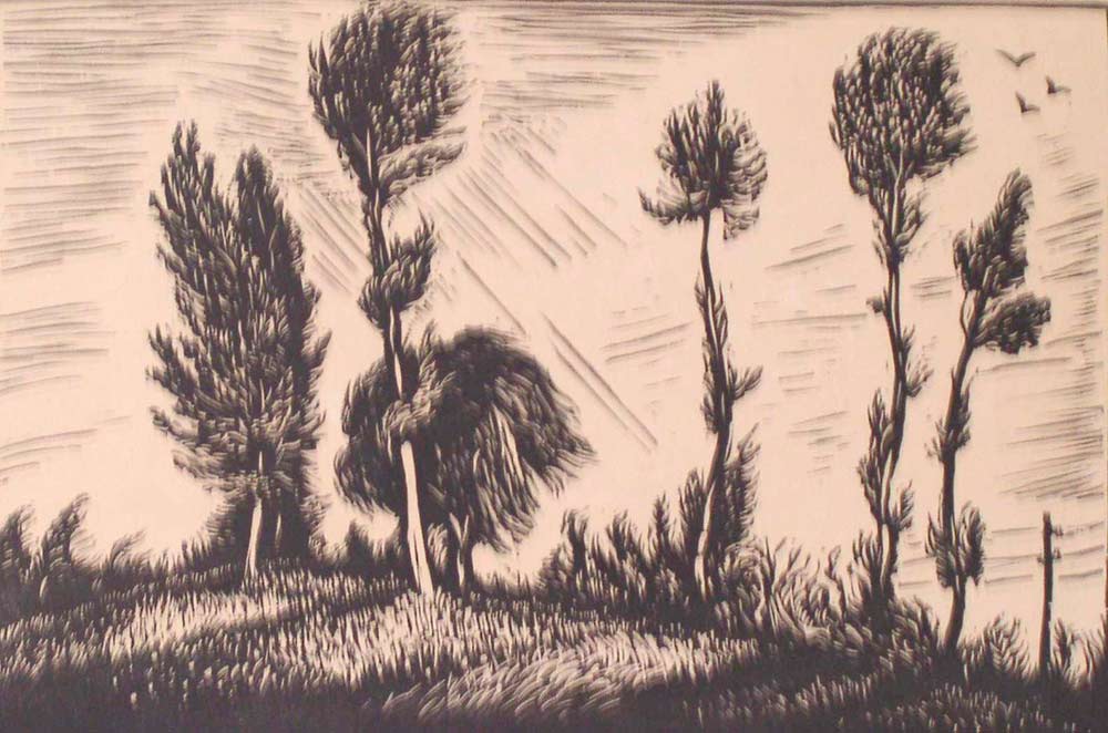 Black and white Vasyl Kasiyan woodcut of serene Ukrainian landscape with tall trees