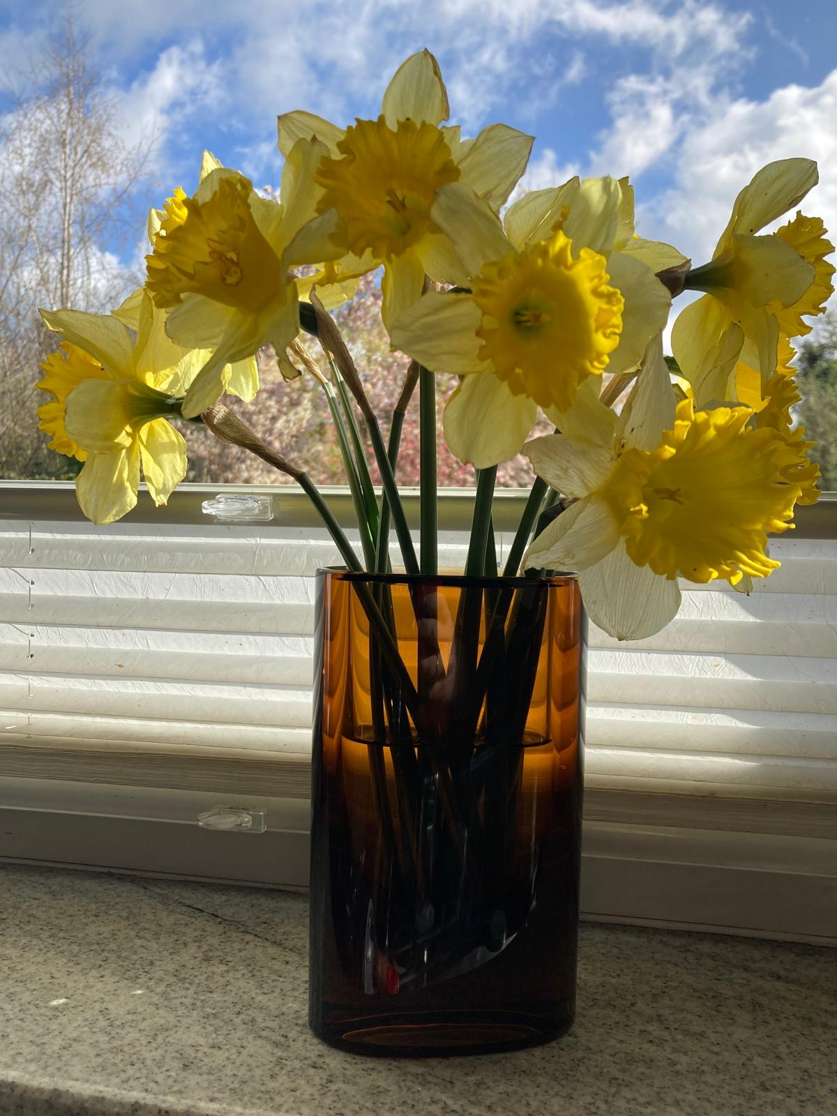 Custom Still Life for Marie