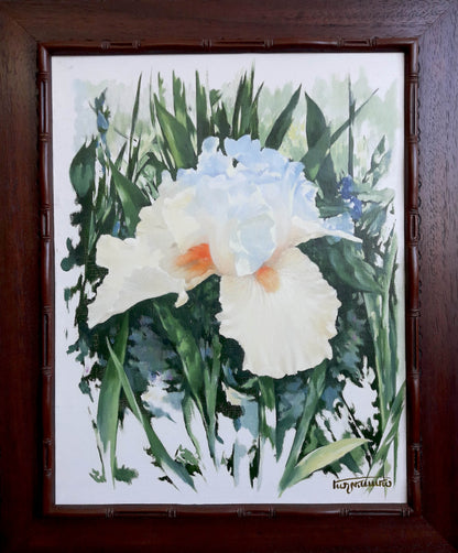 Watercolor white iris with orange center by Korkishko Vasily in dark wood frame