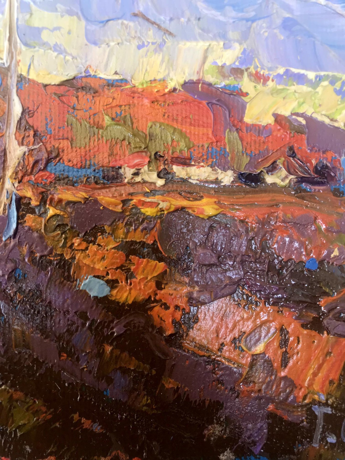 Rural landscape 