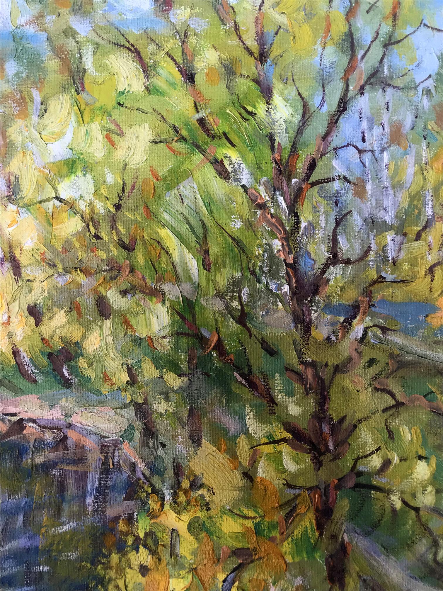 forest landscape