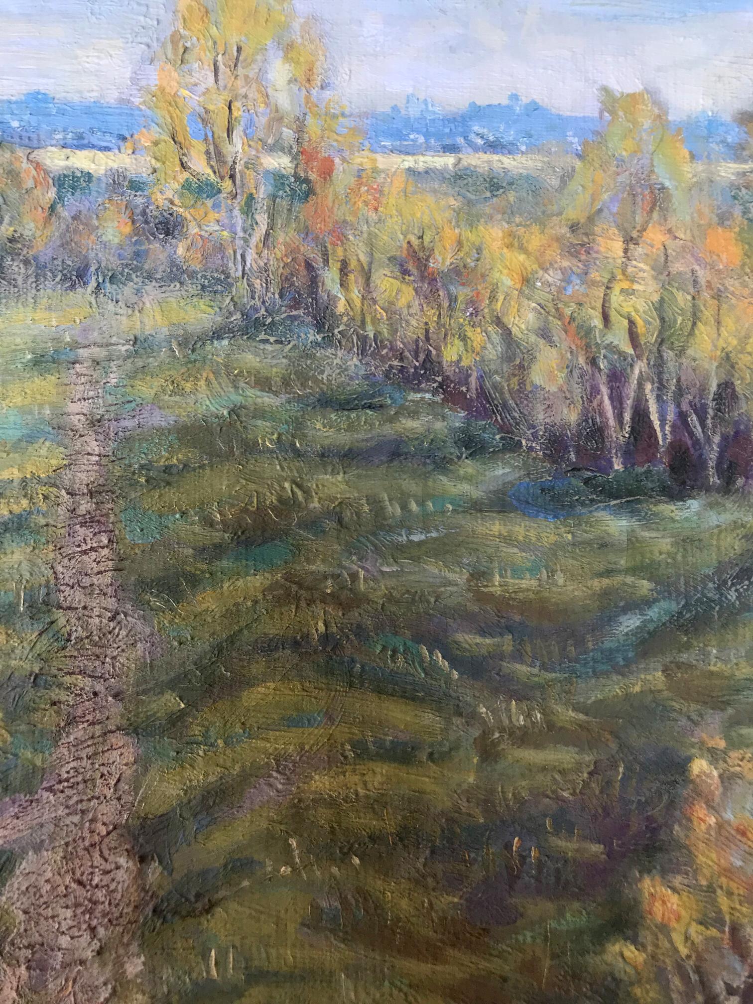 Nature Landscape 